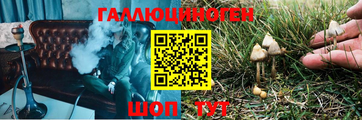 Псилоцибиновые грибы мицелий  Вход с VPN  Галлюциногенные грибы Magic Shrooms  Амурск 