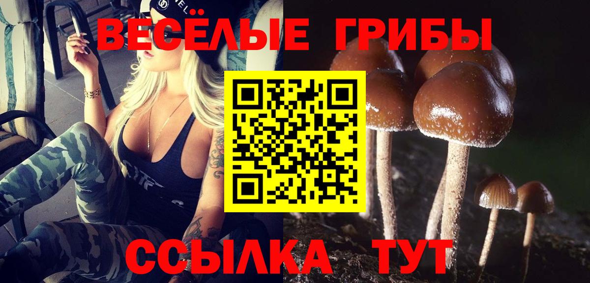 Галлюциногенные грибы прущие грибы Амурск